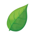 Illustration of a green leaf. Leaf vector art for nature-themed designs. Perfect for eco-friendly projects or West Chester, PA landscaping concepts.