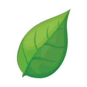 Illustration of a green leaf. Leaf vector art for nature-themed designs. Perfect for eco-friendly projects or West Chester, PA landscaping concepts.